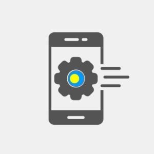 Palau Mobile App - Services