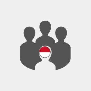 Monaco Conference Call - Voip