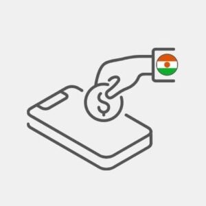 Niger - Payment by continent