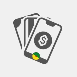 French Guiana  - Payment by country