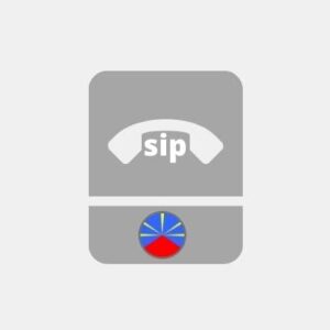 Trunk SIP Reunion - Voip