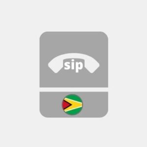Транковый SIP-модуль Гайана - VoIP