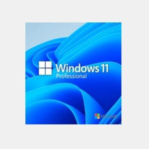 Microsoft Windows 11 Pro - プロダクトキー