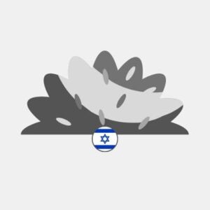 Israel natural grass Reseller