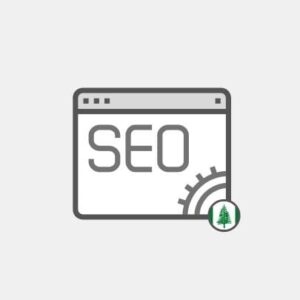 Norfolk Island SEO for website - Marketing
