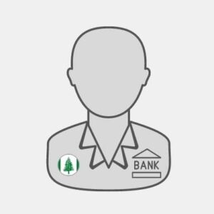 Norfolk Island Finance - banking specialist