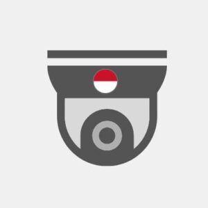 Monaco Video surveillance
