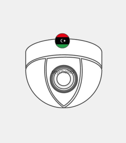 UK-Vid-surve-121 Libya video surveillance Reseller
