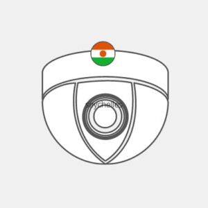 Niger video surveillance Reseller