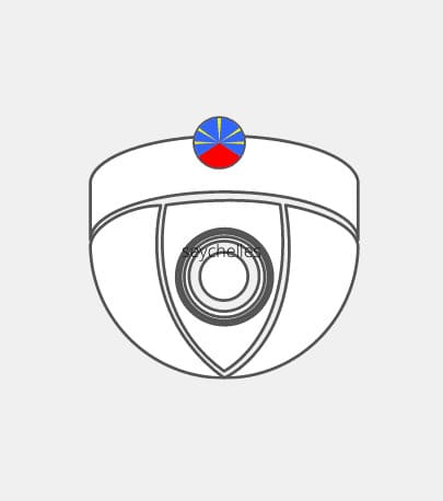UK-Vid-surve-176 Reunion video surveillance Reseller
