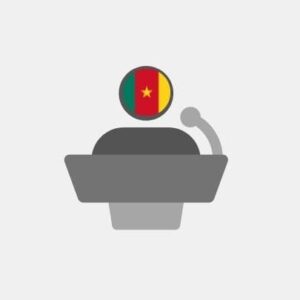 Cameroon Virtual Spokesperson
