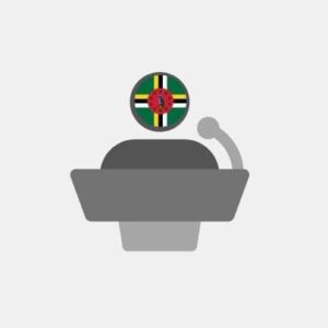 Dominica Virtual Spokesperson