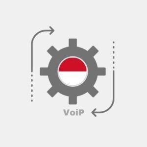 Voip integration Monaco - IP telephony