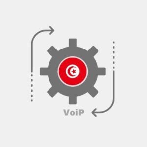 Voip integration Tunisia - IP telephony