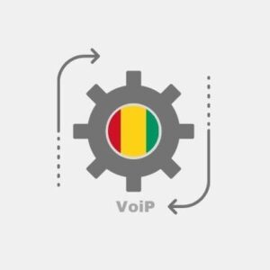 Voip integration Guinea - IP telephony
