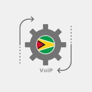VoIP entegrasyonu Guyana - IP telefon