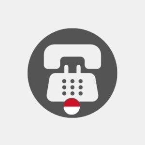 Monaco voip telephony Reseller