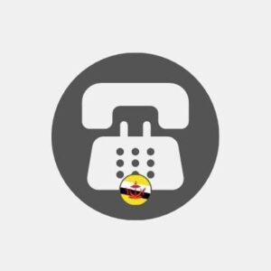 Prodejce VoIP telefonie v Bruneji