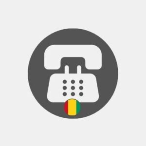 Guinea voip telephony Reseller