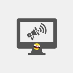 Web marketing del Brunei