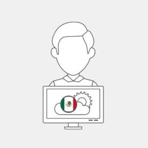 Mexico IT Technician