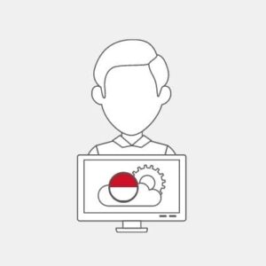 Monaco IT Technician