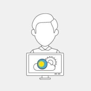 Palau IT Technician