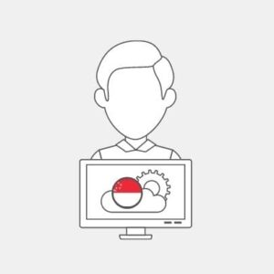 Singapore IT Technician