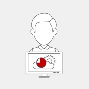 Tonga IT Technician