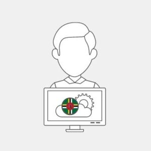 Dominica IT Technician