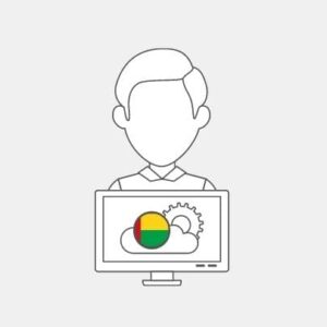 Guinea Bissau IT Technician