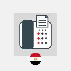 Numer faksu w Egipcie