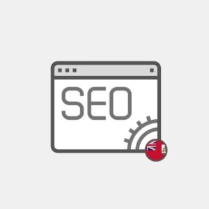 Bermuda SEO for website - Marketing