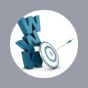 Web Domains