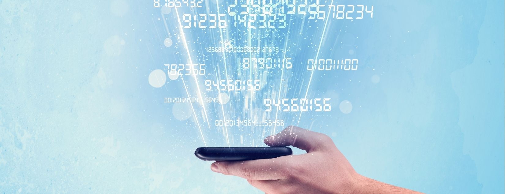 VoiP Didline