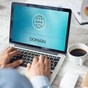 Nowak Domain