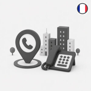 Virtual number France Vesoul: 33-3