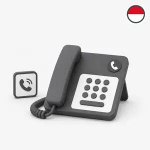 Indonesia virtual number