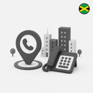 Virtual number Jamaica Kingston: 1-876
