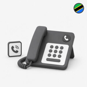 Tanzania virtual number