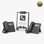 Lithuania number portability