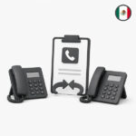 Mexico number portability