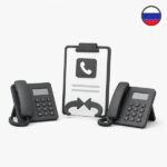 Russia number portability